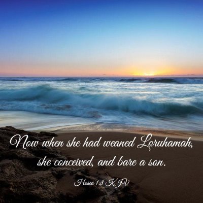 Picture 03 - Hosea 1:8 KJV - Now when she had weaned Loruhamah, she conceived, - Bible Verse Picture