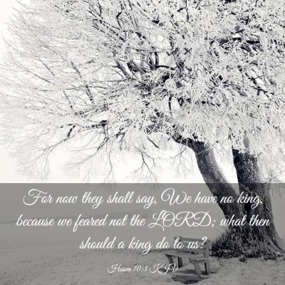 Picture 03 - Hosea 10:3 KJV - For now they shall say, We have no king, because - Bible Verse Picture