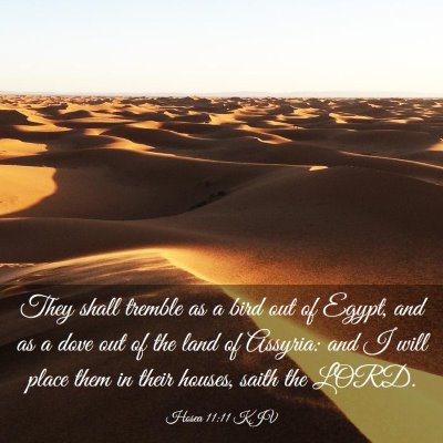 Picture 03 - Hosea 11:11 KJV - They shall tremble as a bird out of Egypt, and as - Bible Verse Picture