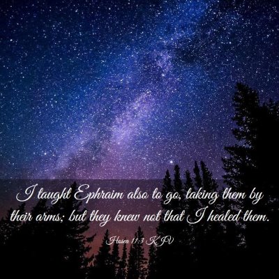 Picture 03 - Hosea 11:3 KJV - I taught Ephraim also to go, taking them by their - Bible Verse Picture