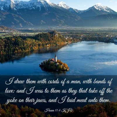 Picture 03 - Hosea 11:4 KJV - I drew them with cords of a man, with bands of - Bible Verse Picture