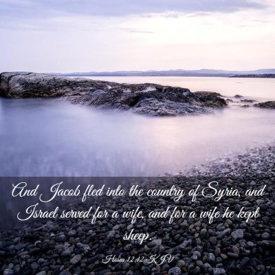 Picture 03 - Hosea 12:12 KJV - And Jacob fled into the country of Syria, and - Bible Verse Picture