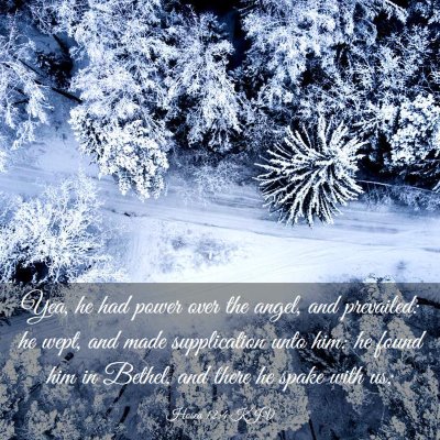 Picture 03 - Hosea 12:4 KJV - Yea, he had power over the angel, and prevailed: - Bible Verse Picture