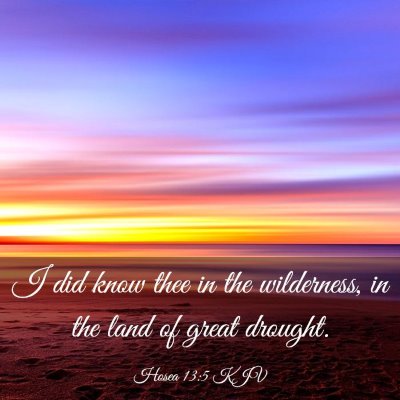Picture 03 - Hosea 13:5 KJV - I did know thee in the wilderness, in the land of - Bible Verse Picture
