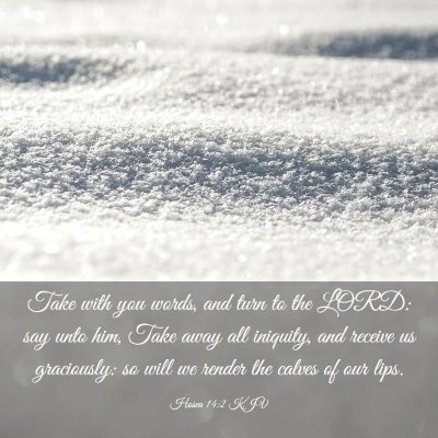 Picture 03 - Hosea 14:2 KJV - Take with you words, and turn to the LORD: say - Bible Verse Picture