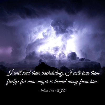 Picture 03 - Hosea 14:4 KJV - I will heal their backsliding, I will love them - Bible Verse Picture