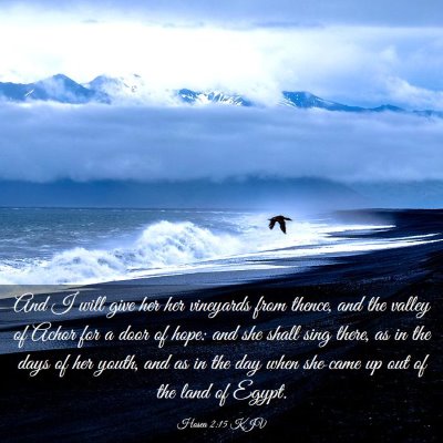 Picture 03 - Hosea 2:15 KJV - And I will give her her vineyards from thence, - Bible Verse Picture