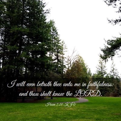 Picture 03 - Hosea 2:20 KJV - I will even betroth thee unto me in faithfulness: - Bible Verse Picture