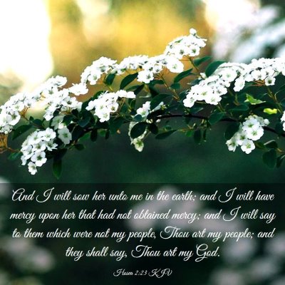 Picture 03 - Hosea 2:23 KJV - And I will sow her unto me in the earth; and I - Bible Verse Picture