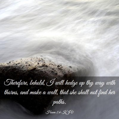 Picture 03 - Hosea 2:6 KJV - Therefore, behold, I will hedge up thy way with - Bible Verse Picture