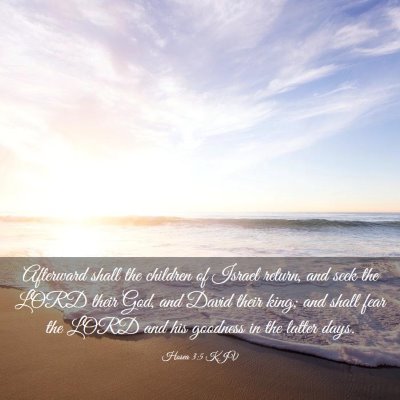 Picture 03 - Hosea 3:5 KJV - Afterward shall the children of Israel return, - Bible Verse Picture
