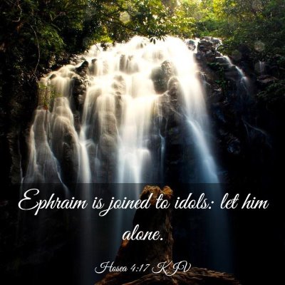 Picture 03 - Hosea 4:17 KJV - Ephraim is joined to idols: let him - Bible Verse Picture