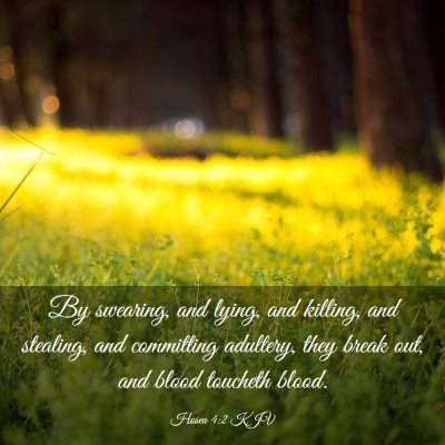 Picture 03 - Hosea 4:2 KJV - By swearing, and lying, and killing, and - Bible Verse Picture