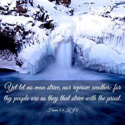 Picture 03 - Hosea 4:4 KJV - Yet let no man strive, nor reprove another: for - Bible Verse Picture