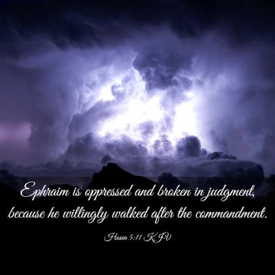 Picture 03 - Hosea 5:11 KJV - Ephraim is oppressed and broken in judgment, - Bible Verse Picture