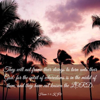 Picture 03 - Hosea 5:4 KJV - They will not frame their doings to turn unto - Bible Verse Picture