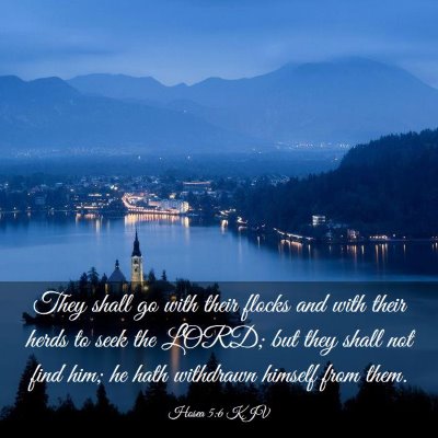 Picture 03 - Hosea 5:6 KJV - They shall go with their flocks and with their - Bible Verse Picture