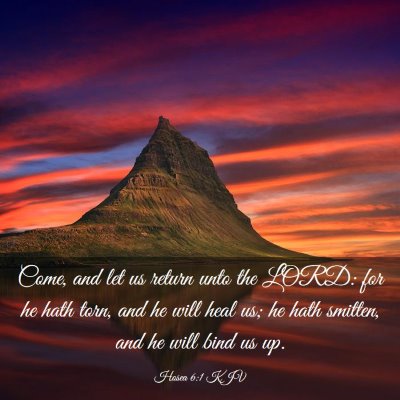 Picture 03 - Hosea 6:1 KJV - Come, and let us return unto the LORD: for he - Bible Verse Picture