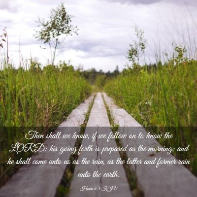 Picture 03 - Hosea 6:3 KJV - Then shall we know, if we follow on to know the - Bible Verse Picture