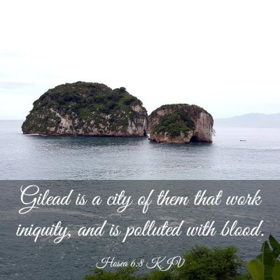 Picture 03 - Hosea 6:8 KJV - Gilead is a city of them that work iniquity, and - Bible Verse Picture