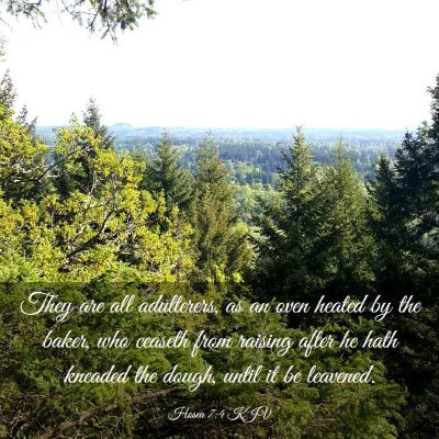 Picture 03 - Hosea 7:4 KJV - They are all adulterers, as an oven heated by the - Bible Verse Picture