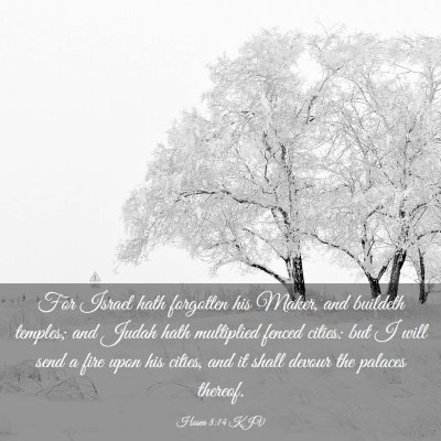 Picture 03 - Hosea 8:14 KJV - For Israel hath forgotten his Maker, and buildeth - Bible Verse Picture