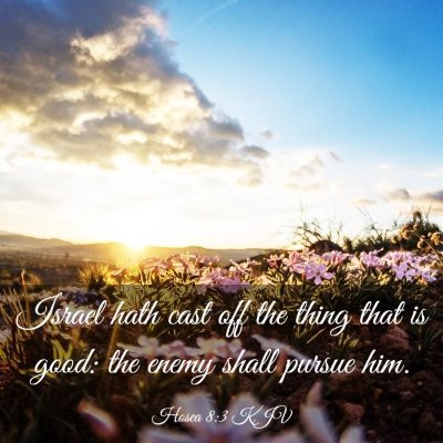 Picture 03 - Hosea 8:3 KJV - Israel hath cast off the thing that is good: the - Bible Verse Picture