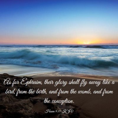 Picture 03 - Hosea 9:11 KJV - As for Ephraim, their glory shall fly away like a - Bible Verse Picture