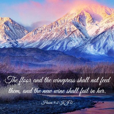 Picture 03 - Hosea 9:2 KJV - The floor and the winepress shall not feed them, - Bible Verse Picture