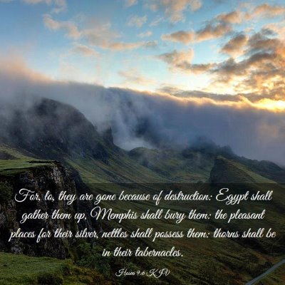 Picture 03 - Hosea 9:6 KJV - For, lo, they are gone because of destruction: - Bible Verse Picture