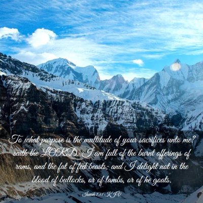 Picture 03 - Isaiah 1:11 KJV - To what purpose is the multitude of your - Bible Verse Picture