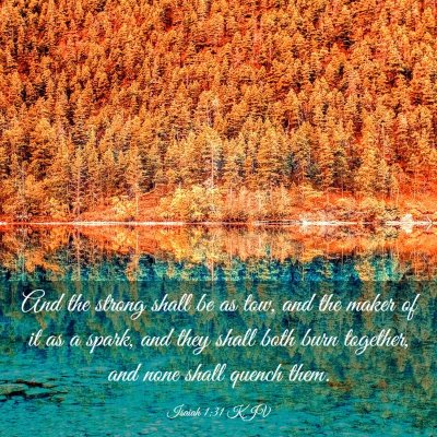Picture 03 - Isaiah 1:31 KJV - And the strong shall be as tow, and the maker of - Bible Verse Picture