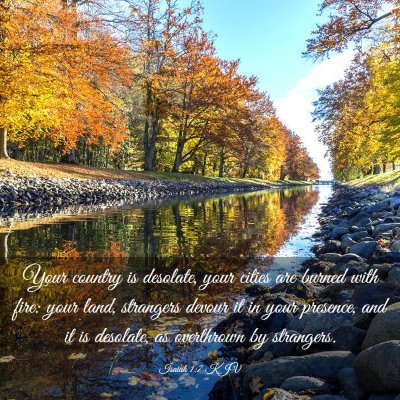 Picture 03 - Isaiah 1:7 KJV - Your country is desolate, your cities are burned - Bible Verse Picture