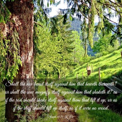 Picture 03 - Isaiah 10:15 KJV - Shall the axe boast itself against him that - Bible Verse Picture