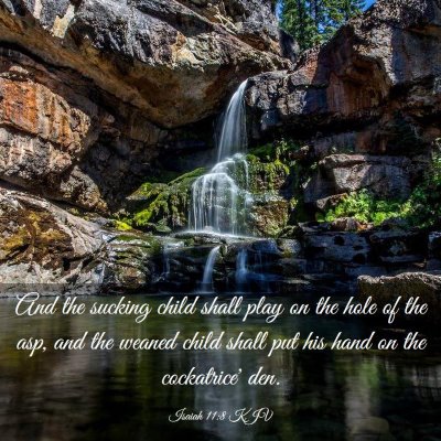 Picture 03 - Isaiah 11:8 KJV - And the sucking child shall play on the hole of - Bible Verse Picture