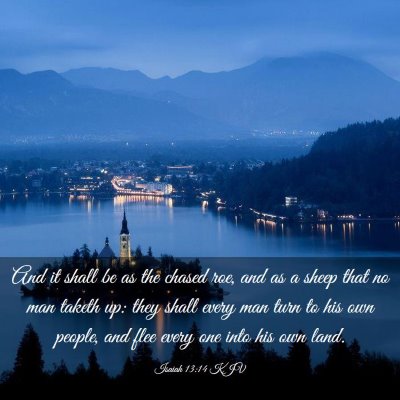 Picture 03 - Isaiah 13:14 KJV - And it shall be as the chased roe, and as a sheep - Bible Verse Picture