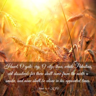 Picture 03 - Isaiah 14:31 KJV - Howl, O gate; cry, O city; thou, whole Palestina, - Bible Verse Picture