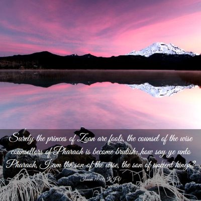 Picture 03 - Isaiah 19:11 KJV - Surely the princes of Zoan are fools, the counsel - Bible Verse Picture
