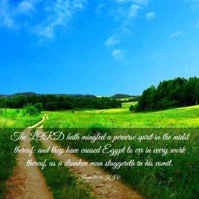 Picture 03 - Isaiah 19:14 KJV - The LORD hath mingled a perverse spirit in the - Bible Verse Picture
