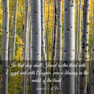 Picture 03 - Isaiah 19:24 KJV - In that day shall Israel be the third with Egypt - Bible Verse Picture