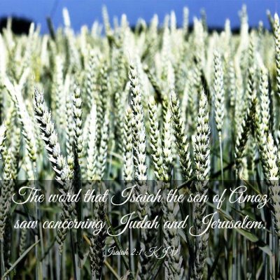 Picture 03 - Isaiah 2:1 KJV - The word that Isaiah the son of Amoz saw - Bible Verse Picture