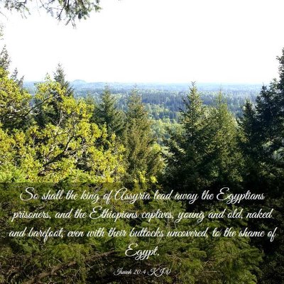 Picture 03 - Isaiah 20:4 KJV - So shall the king of Assyria lead away the - Bible Verse Picture