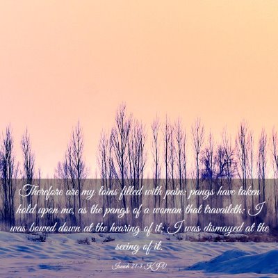 Picture 03 - Isaiah 21:3 KJV - Therefore are my loins filled with pain: pangs - Bible Verse Picture