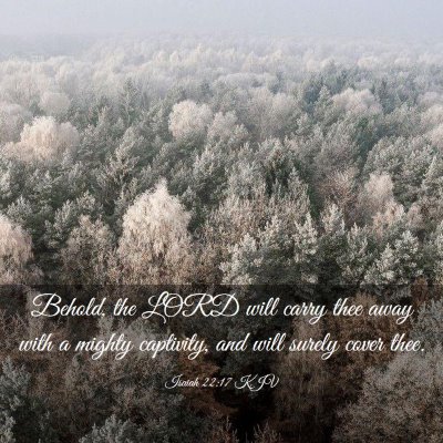 Picture 03 - Isaiah 22:17 KJV - Behold, the LORD will carry thee away with a - Bible Verse Picture
