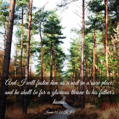 Picture 03 - Isaiah 22:23 KJV - And I will fasten him as a nail in a sure place; - Bible Verse Picture