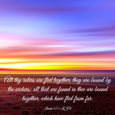 Picture 03 - Isaiah 22:3 KJV - All thy rulers are fled together, they are bound - Bible Verse Picture