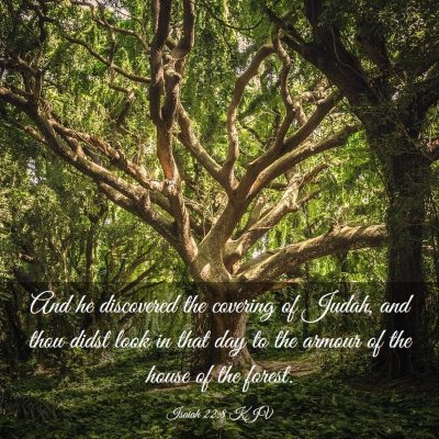 Picture 03 - Isaiah 22:8 KJV - And he discovered the covering of Judah, and thou - Bible Verse Picture