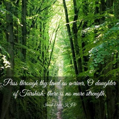 Picture 03 - Isaiah 23:10 KJV - Pass through thy land as a river, O daughter of - Bible Verse Picture