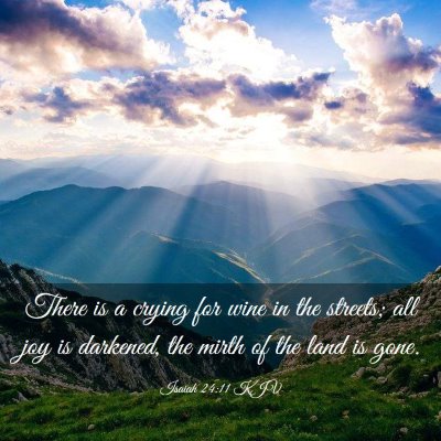 Picture 03 - Isaiah 24:11 KJV - There is a crying for wine in the streets; all - Bible Verse Picture