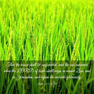 Picture 03 - Isaiah 24:23 KJV - Then the moon shall be confounded, and the sun - Bible Verse Picture